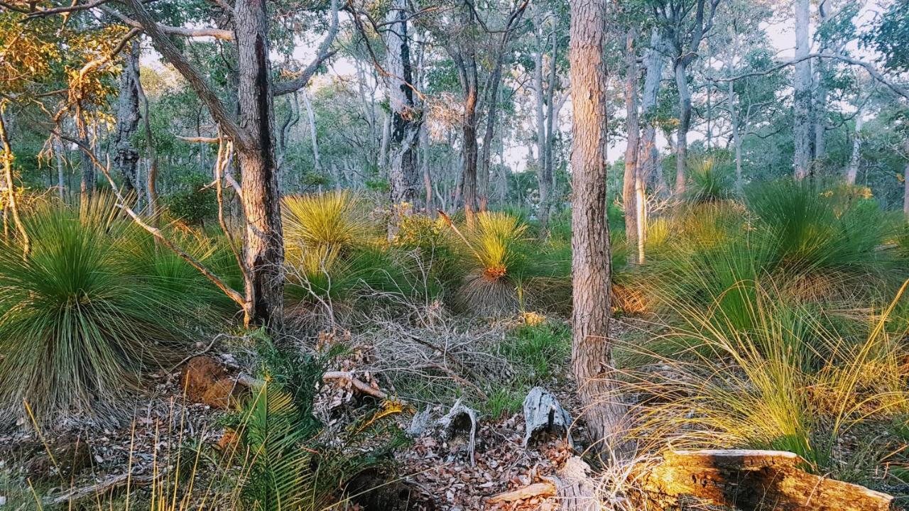 Bussells Bushland Cottages Margaret River Bagian luar foto
