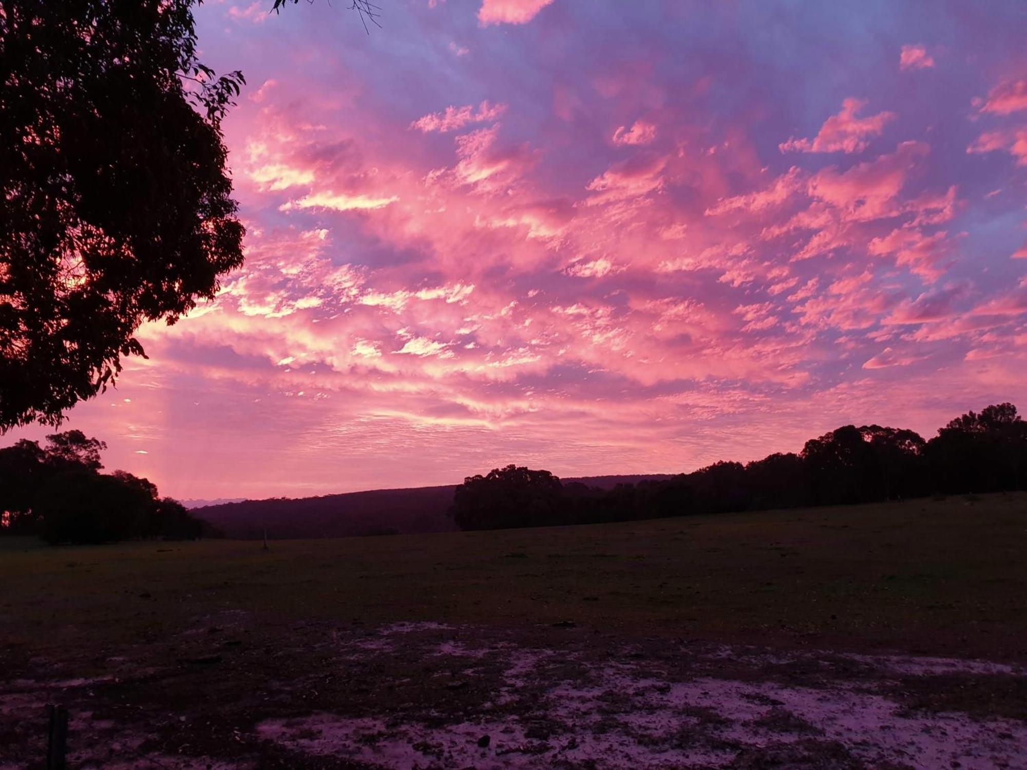 Bussells Bushland Cottages Margaret River Bagian luar foto