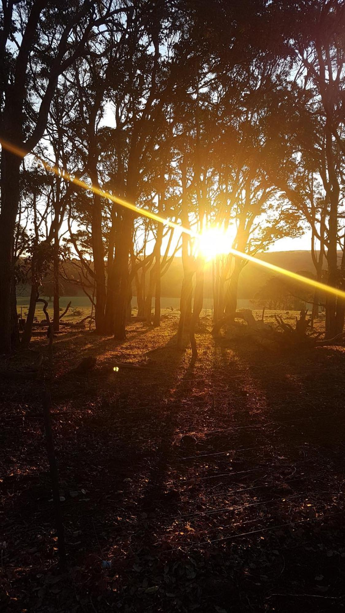 Bussells Bushland Cottages Margaret River Bagian luar foto